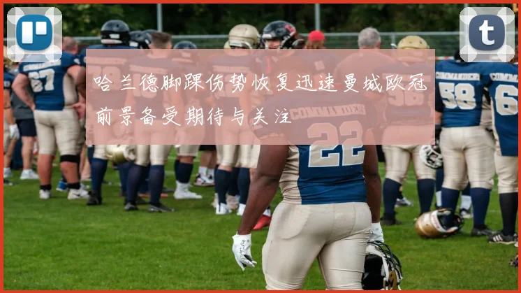 哈兰德脚踝伤势恢复迅速曼城欧冠前景备受期待与关注
