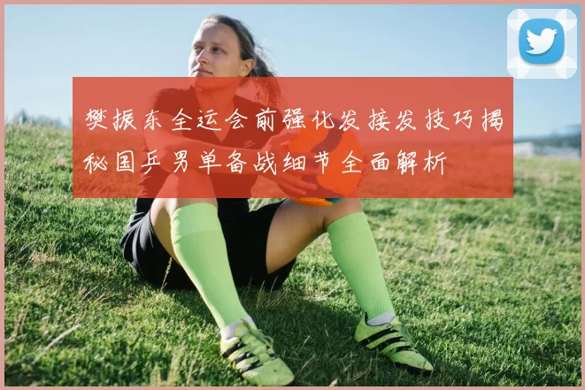 樊振东全运会前强化发接发技巧揭秘国乒男单备战细节全面解析