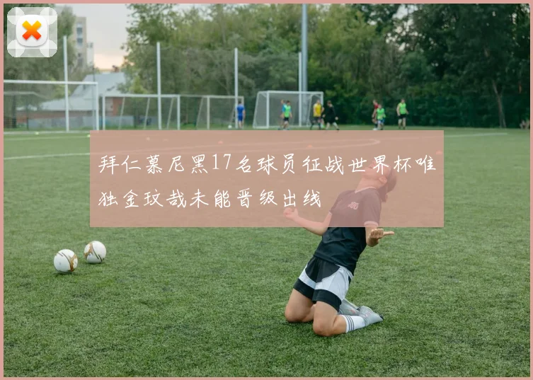 拜仁慕尼黑17名球员征战世界杯唯独金玟哉未能晋级出线